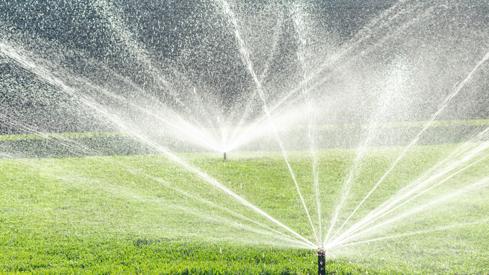 Sustainable Water Image