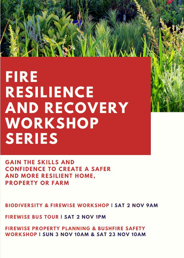 Fire resilience workshop series
