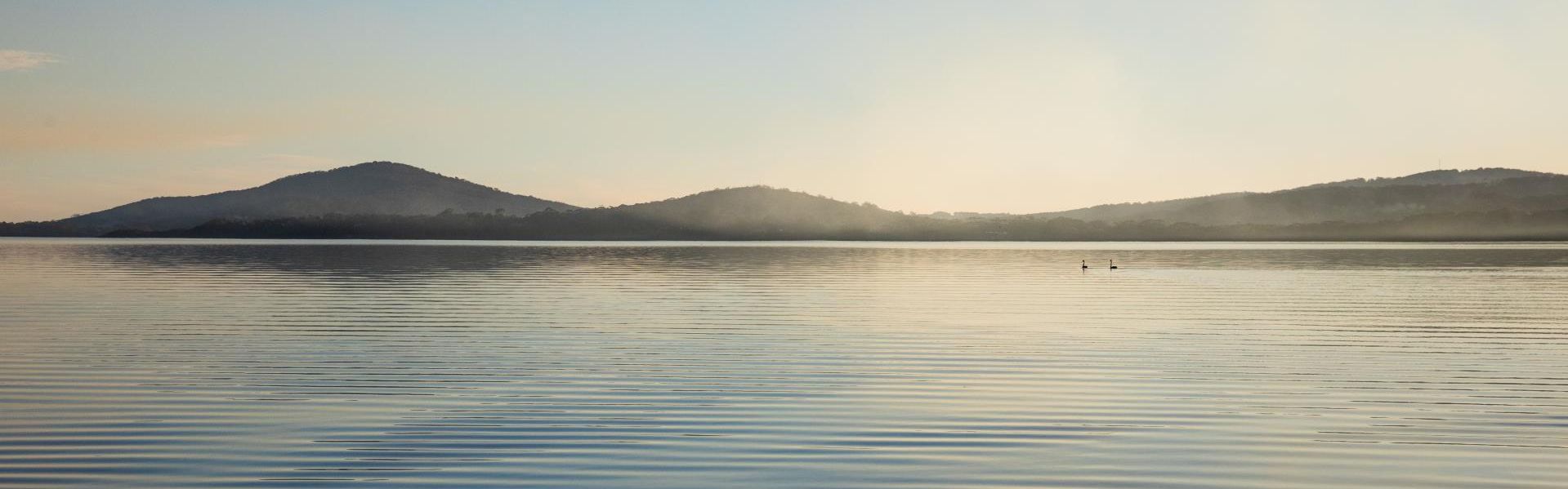 Banner - Rating Services &raquo; Shire of Denmark