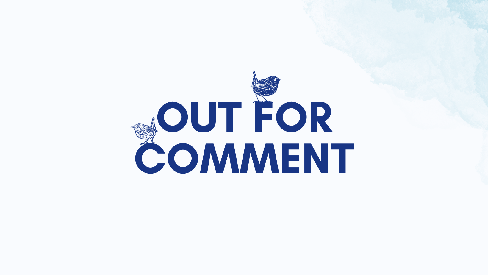 Planning: Out for Comment Image