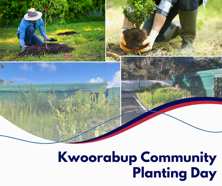 Kwoorabup Community Park Planting Day