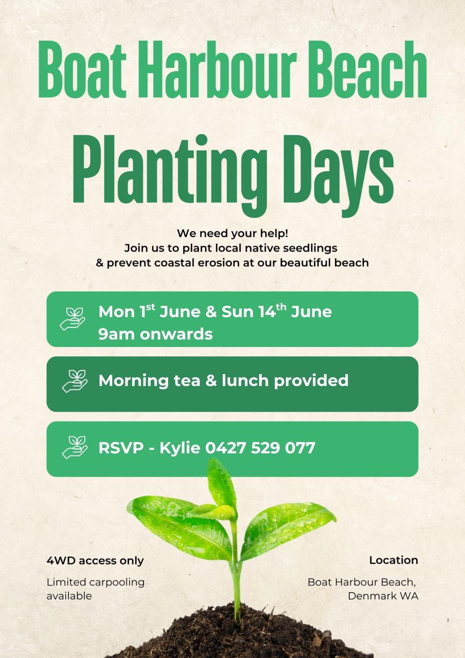 Boat Harbour Beach Planting Days