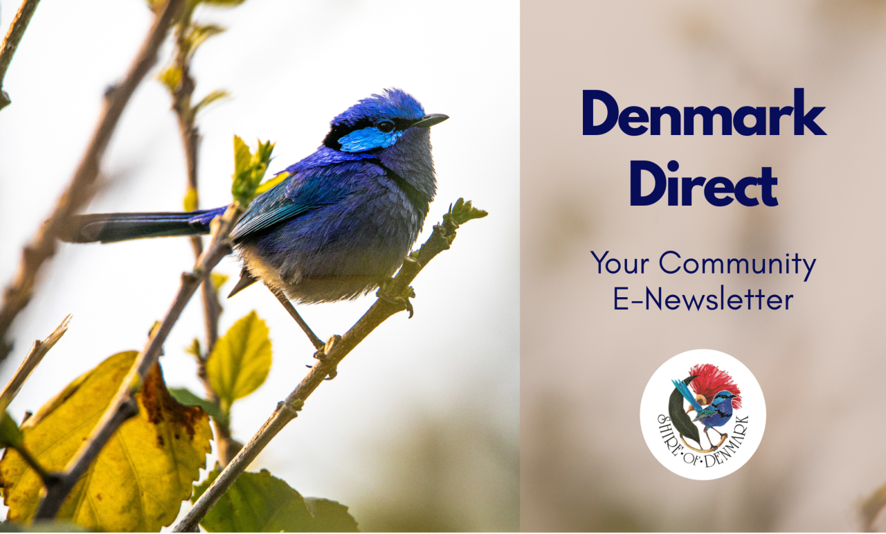 Denmark Direct Community Newsletter - January 2026