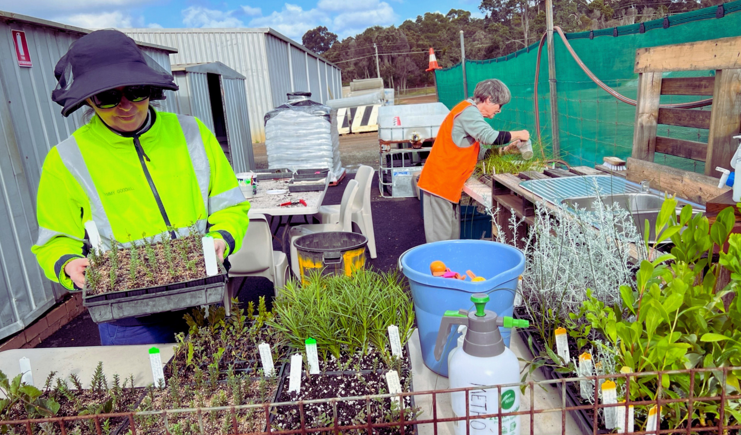 Volunteer at the Shire of Denmark’s Native Plant Nursery
