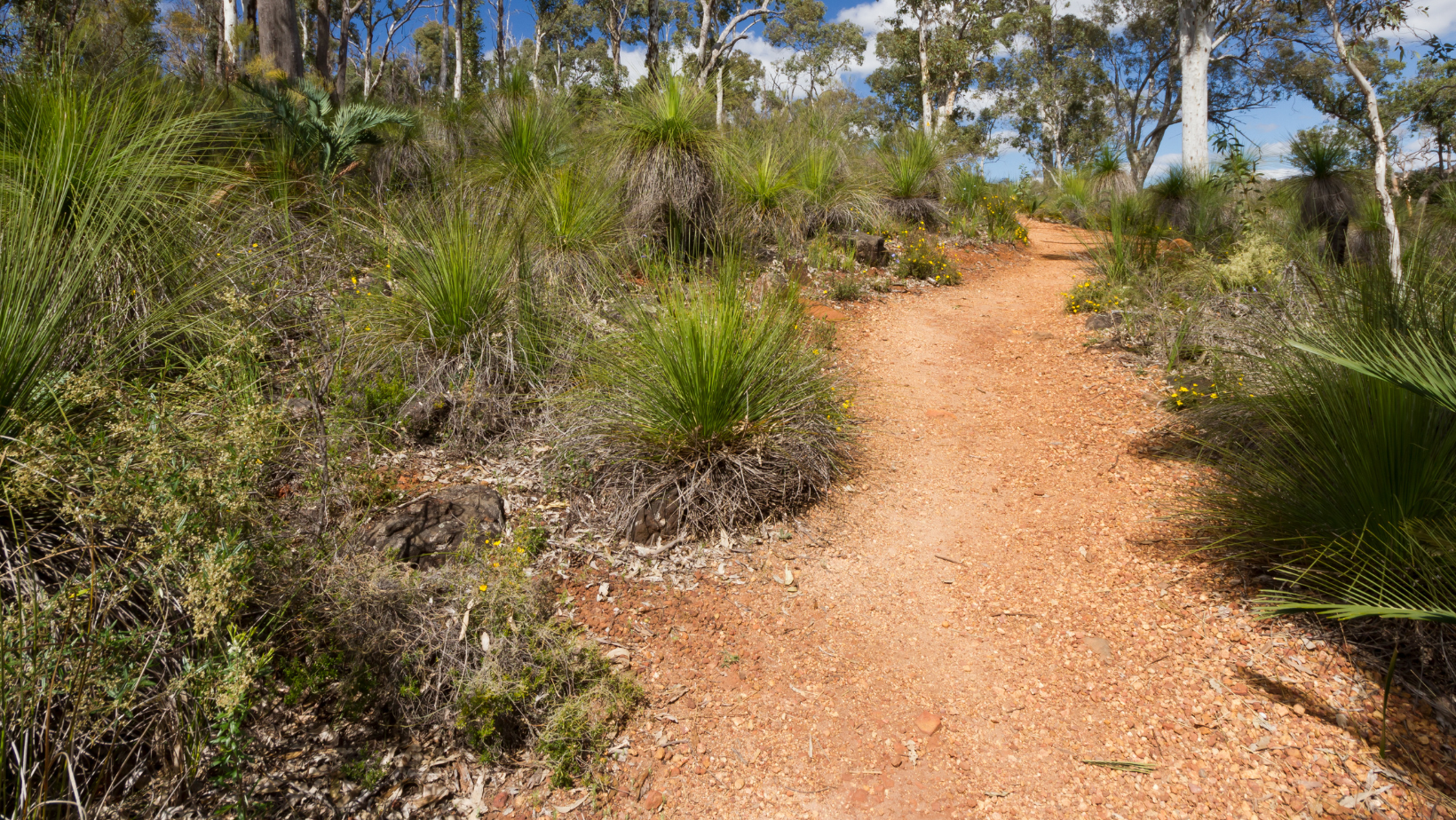 Turner Road Trails Concept Plan: Out for Comment