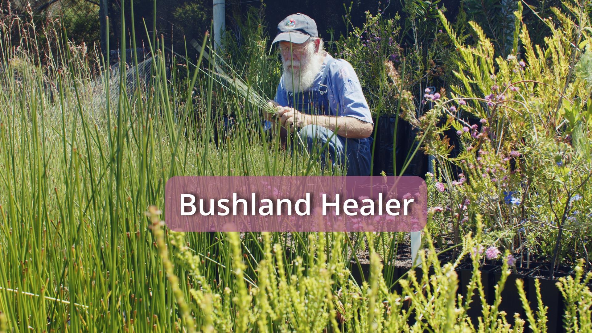 Bushland Healer Film Celebrates Dedication